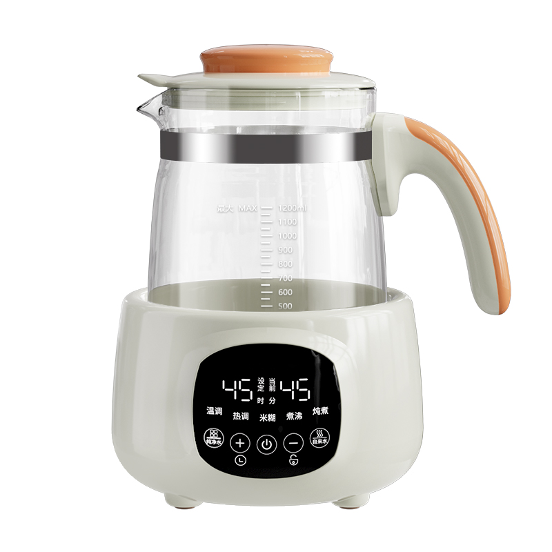Multifunctional thermostatic boiling kettle A02G